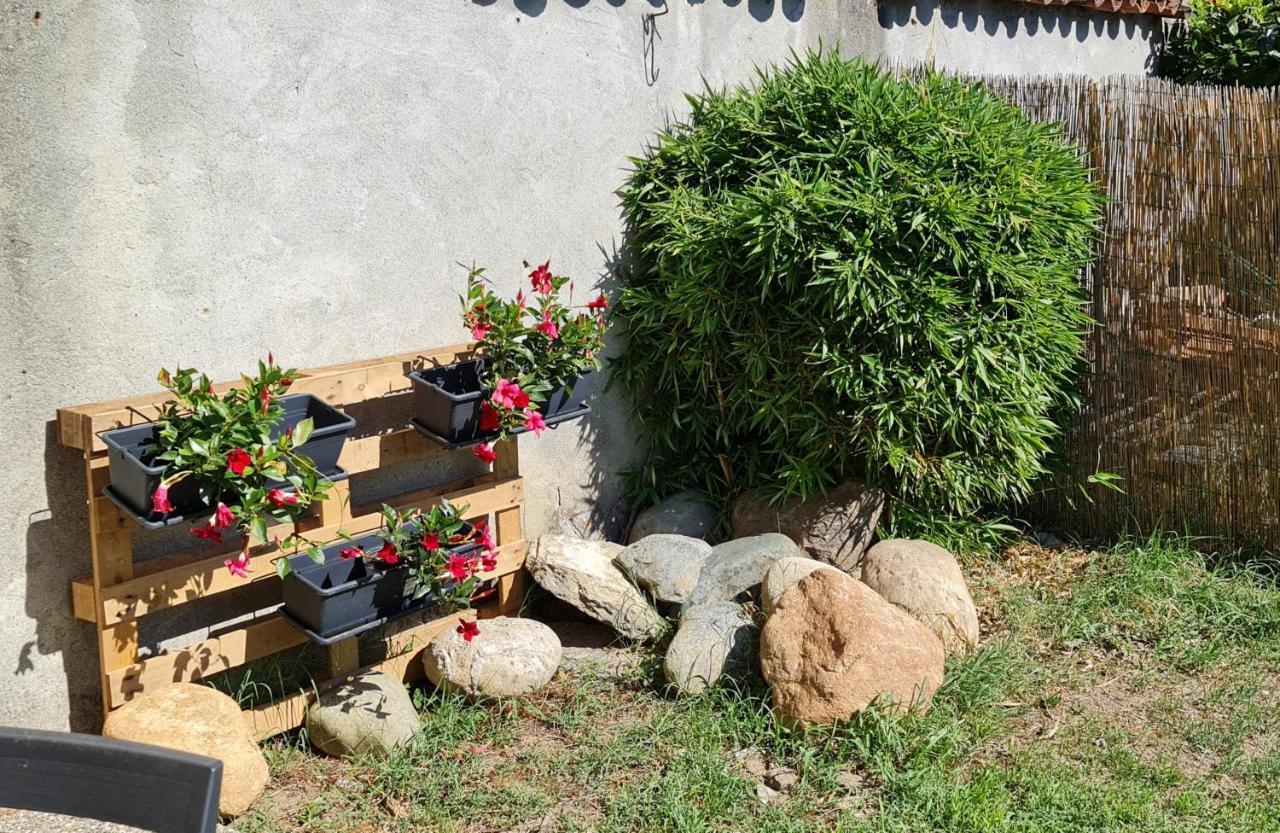 La Tana Dei Corgi Bed & Breakfast Moncrivello Bagian luar foto